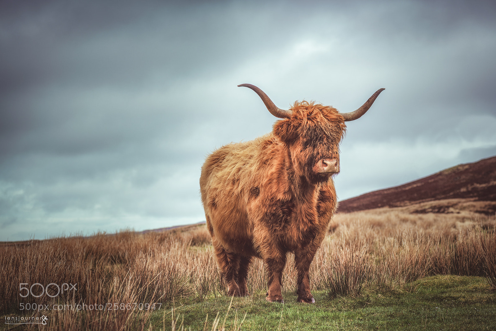 Nikon D850 sample photo. B gh idhealach highland photography
