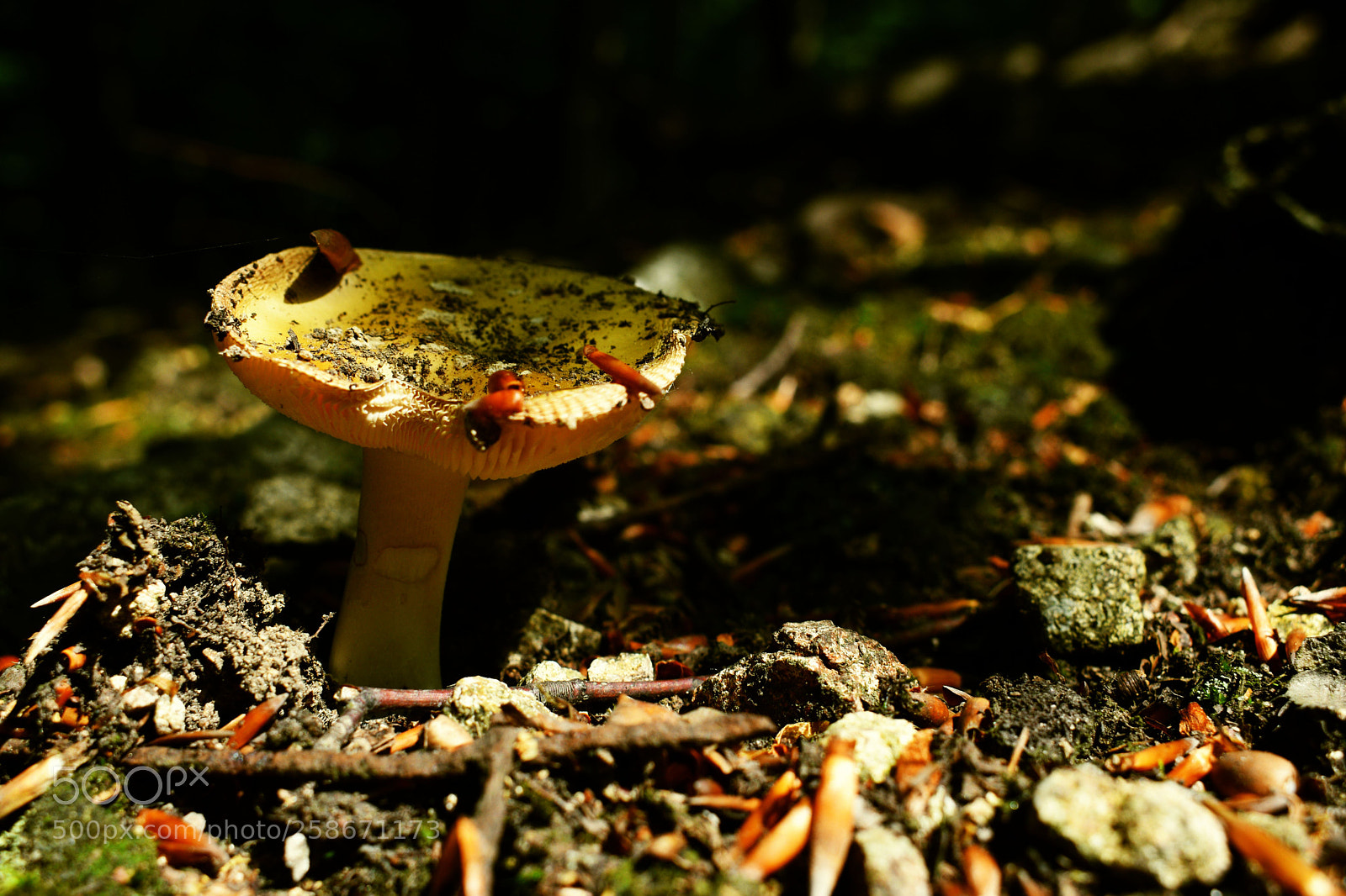 Nikon D3300 sample photo. ... photography