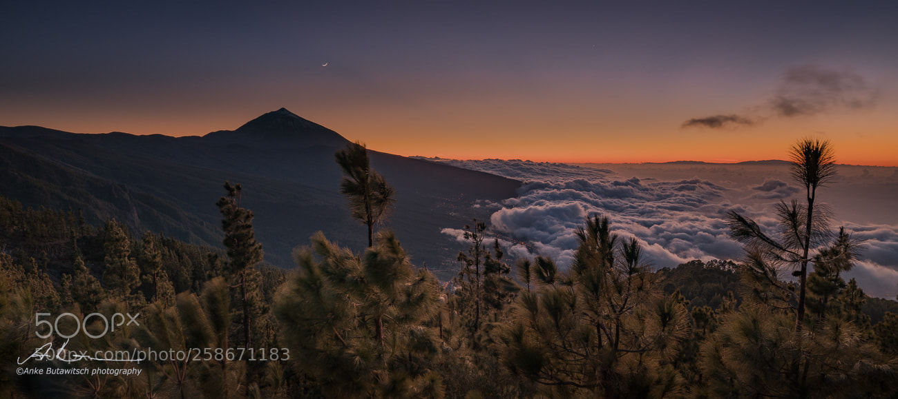 Sony a7R II sample photo. Above the clouds photography