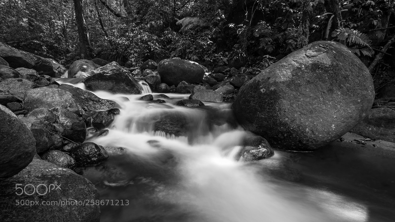 Sony a7 sample photo. ... photography