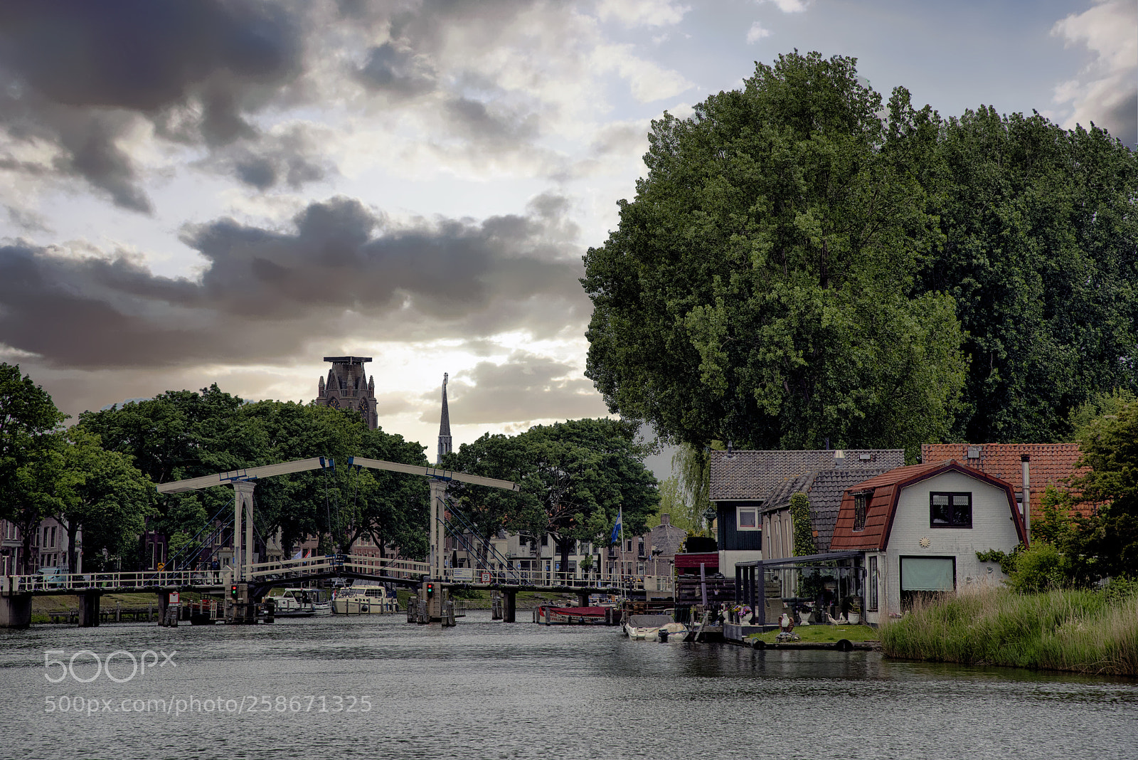 Nikon D750 sample photo. River de vecht near photography