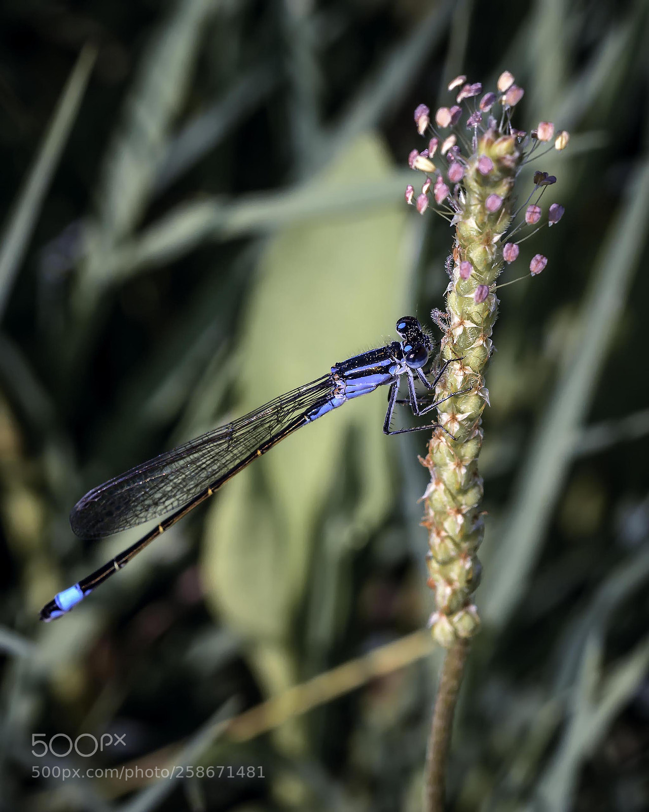Nikon D7200 sample photo. Untitled photography