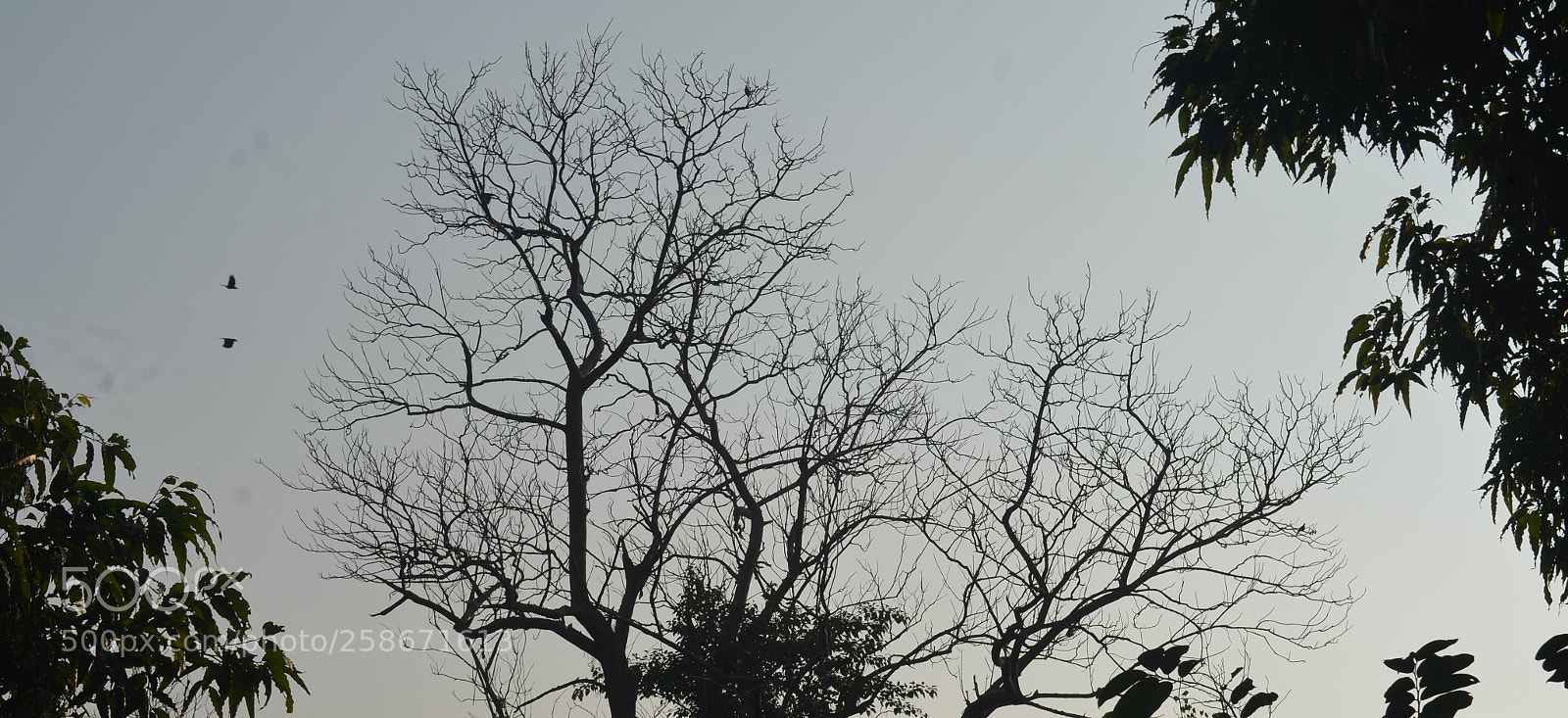 Nikon D5100 sample photo. Untitled photography