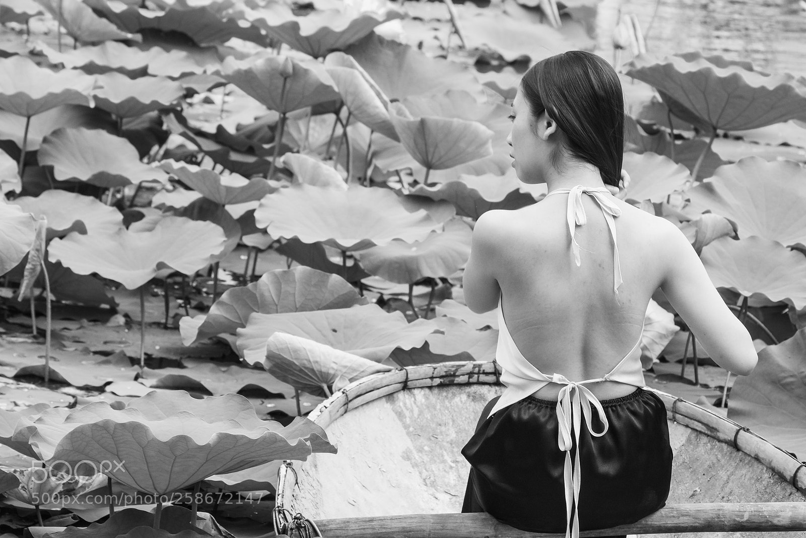 Fujifilm X-E1 sample photo. Back photography