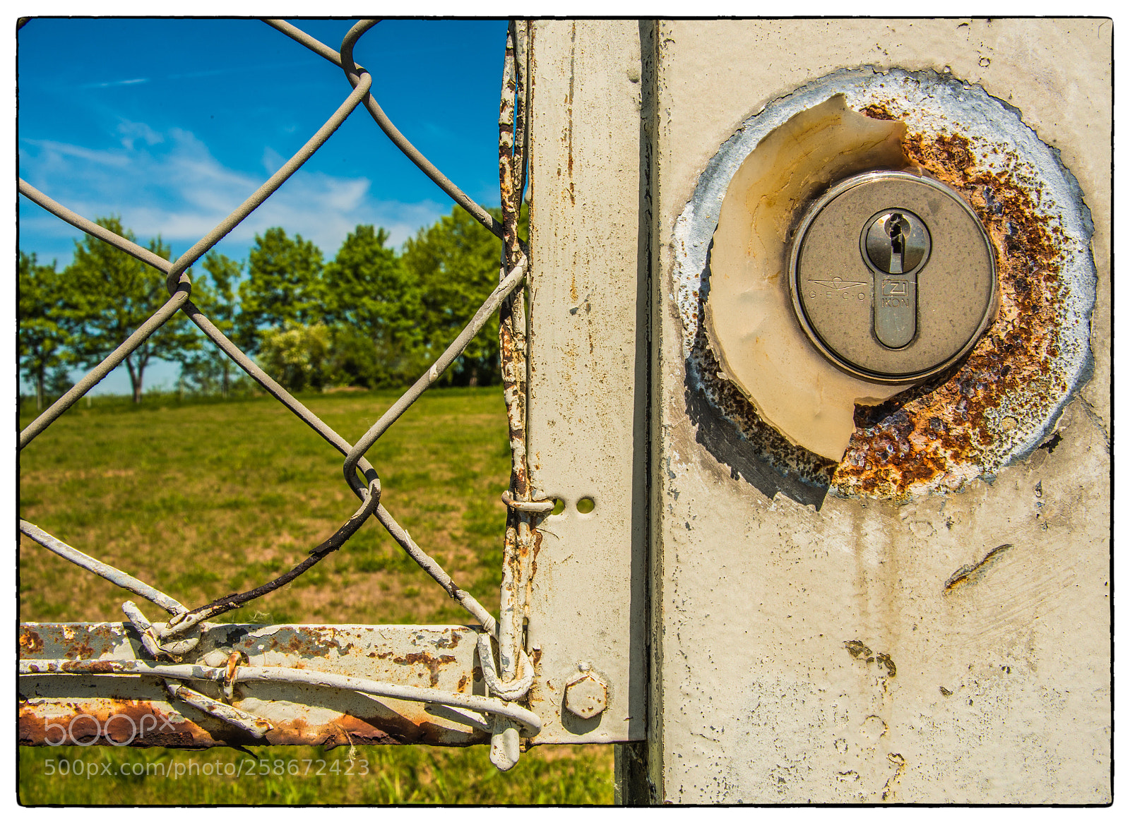 Nikon D750 sample photo. Closed door photography