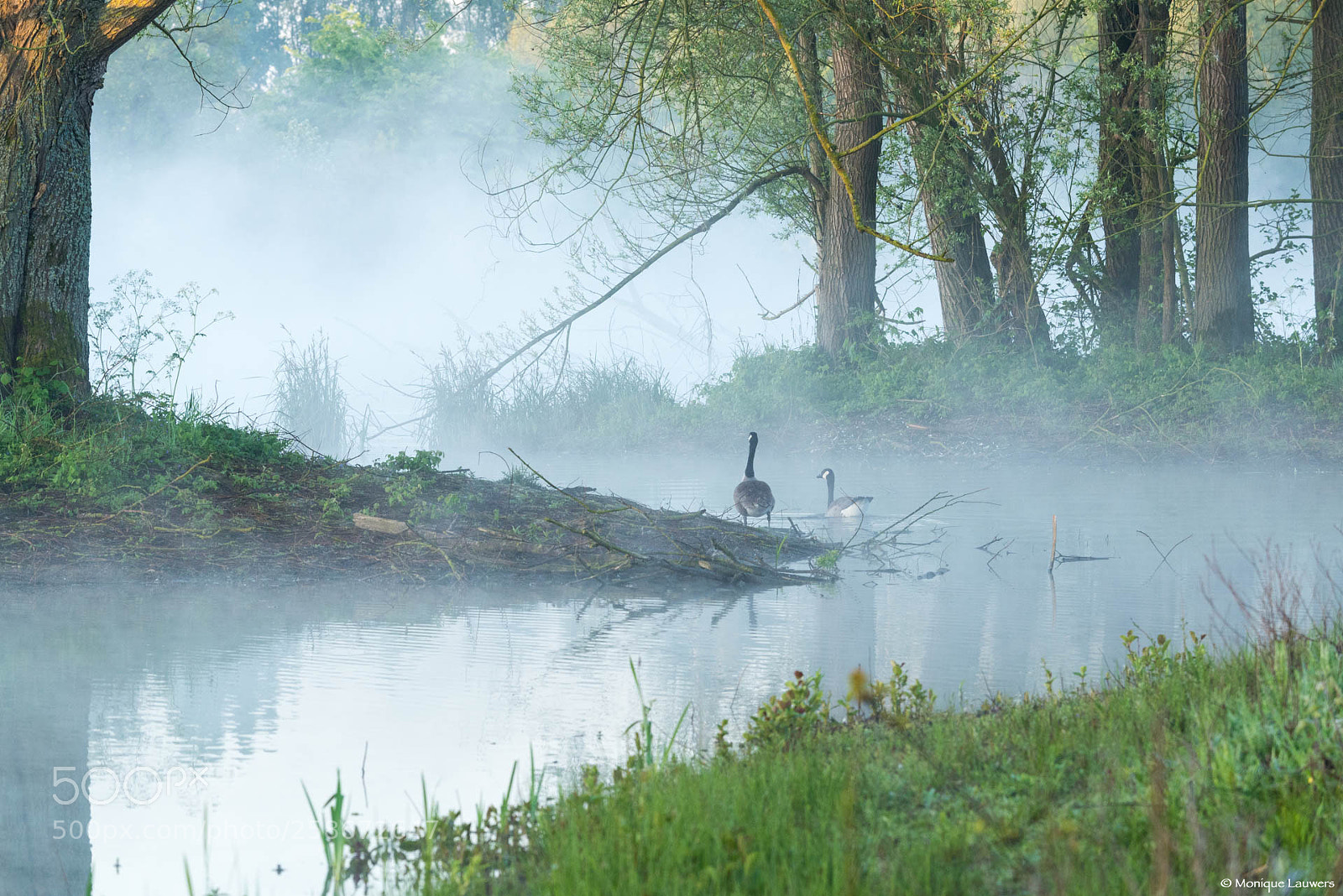 Nikon D600 sample photo. Nature in all its photography