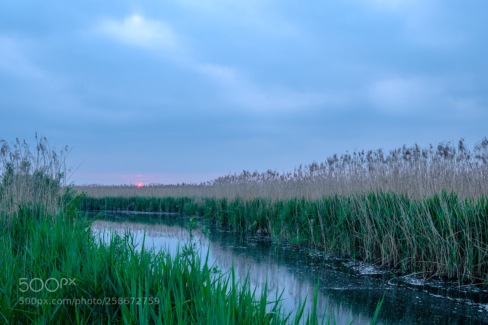 Fujifilm X-T2 sample photo. Federsee sunset photography