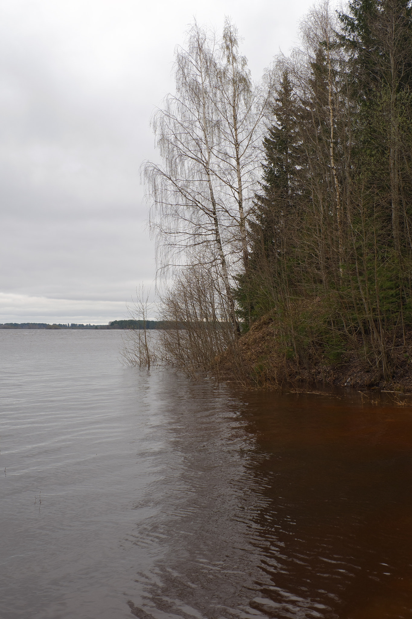 Fujifilm X-A10 sample photo. High water on the river vychegda photography