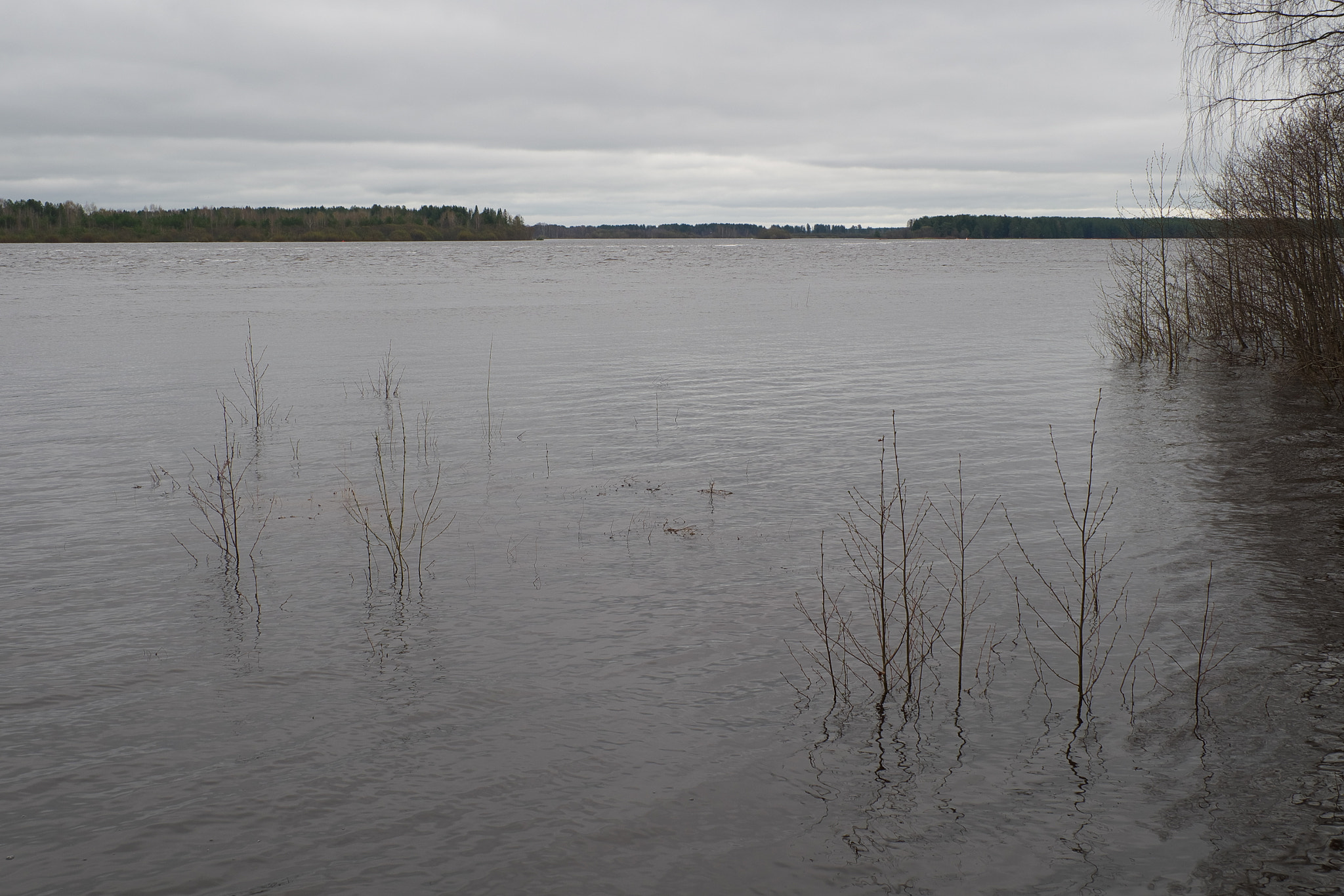 Fujifilm X-A10 sample photo. High water on the river vychegda photography