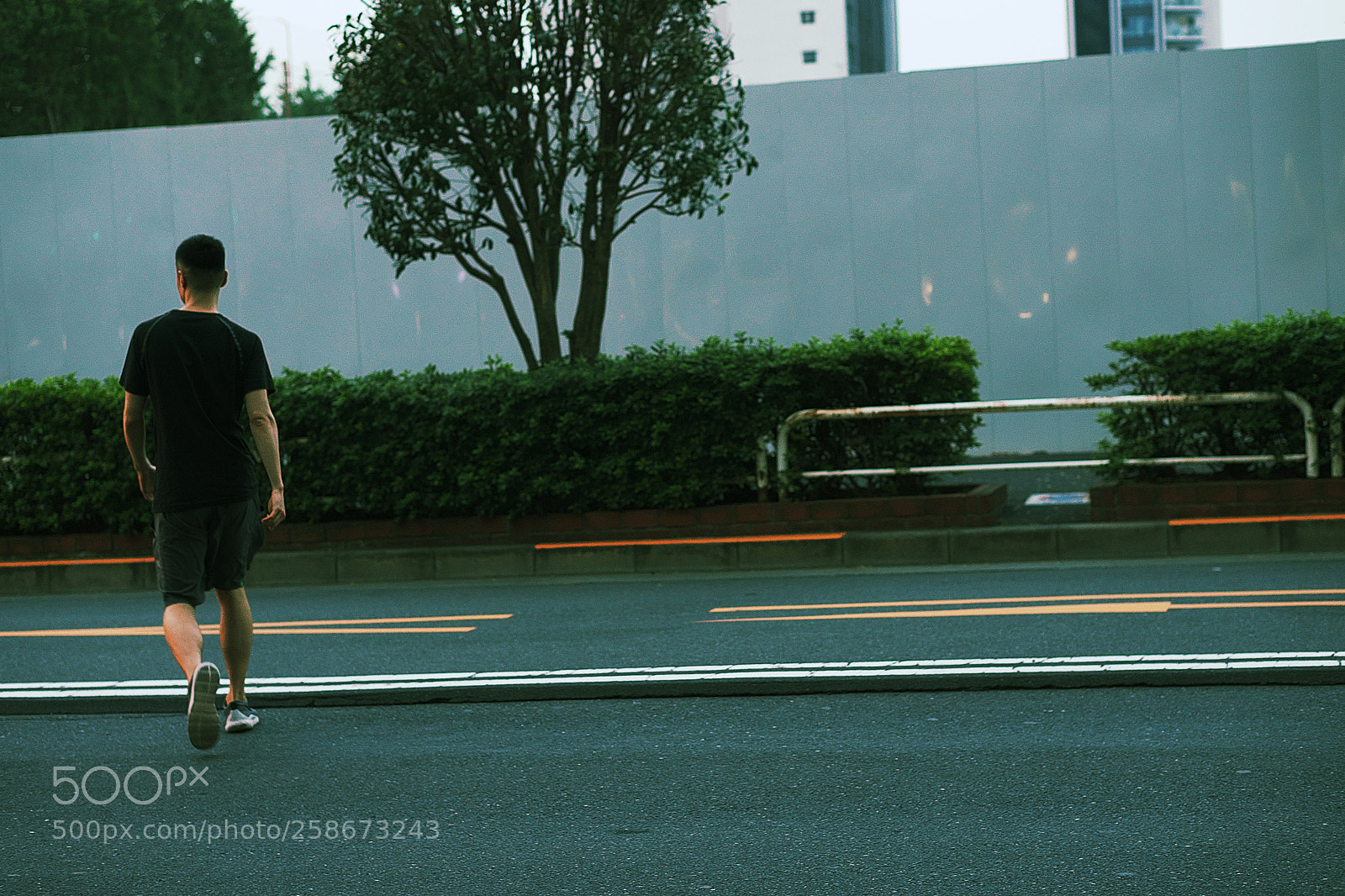 Sony a7 sample photo. Shortcut photography