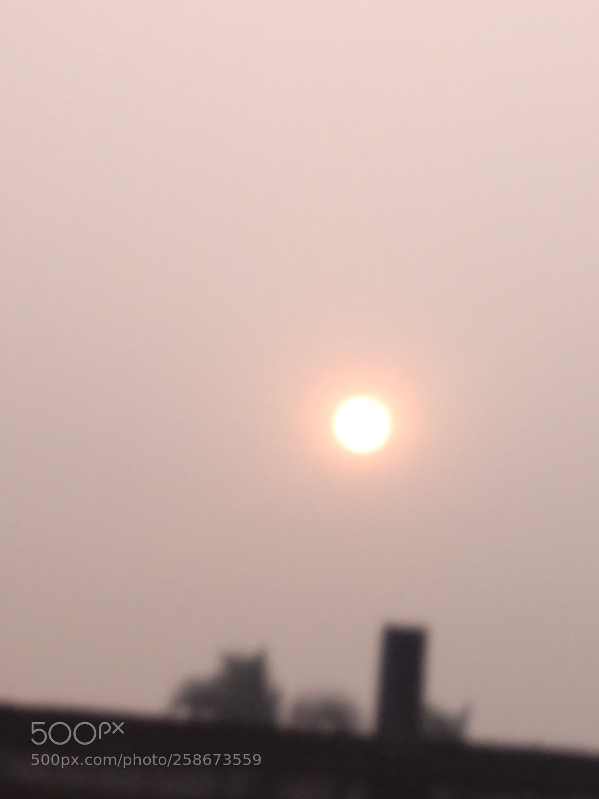 Xiaomi Redmi 4A sample photo. Untitled photography