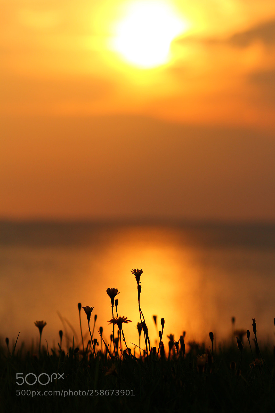 Canon EOS 60D sample photo. Sunset photography