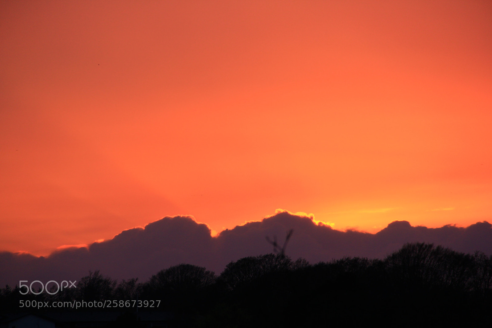 Canon EF-S 18-135mm F3.5-5.6 IS sample photo. Sunset photography