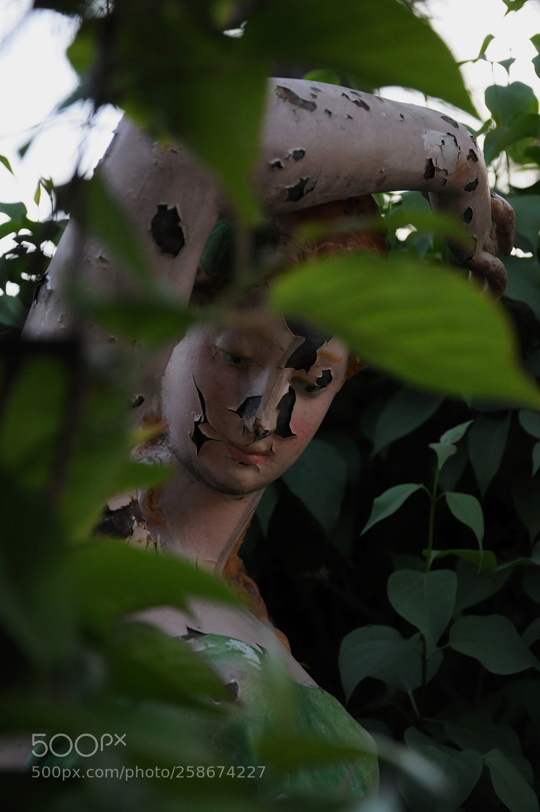 Nikon D5000 sample photo. Broken photography