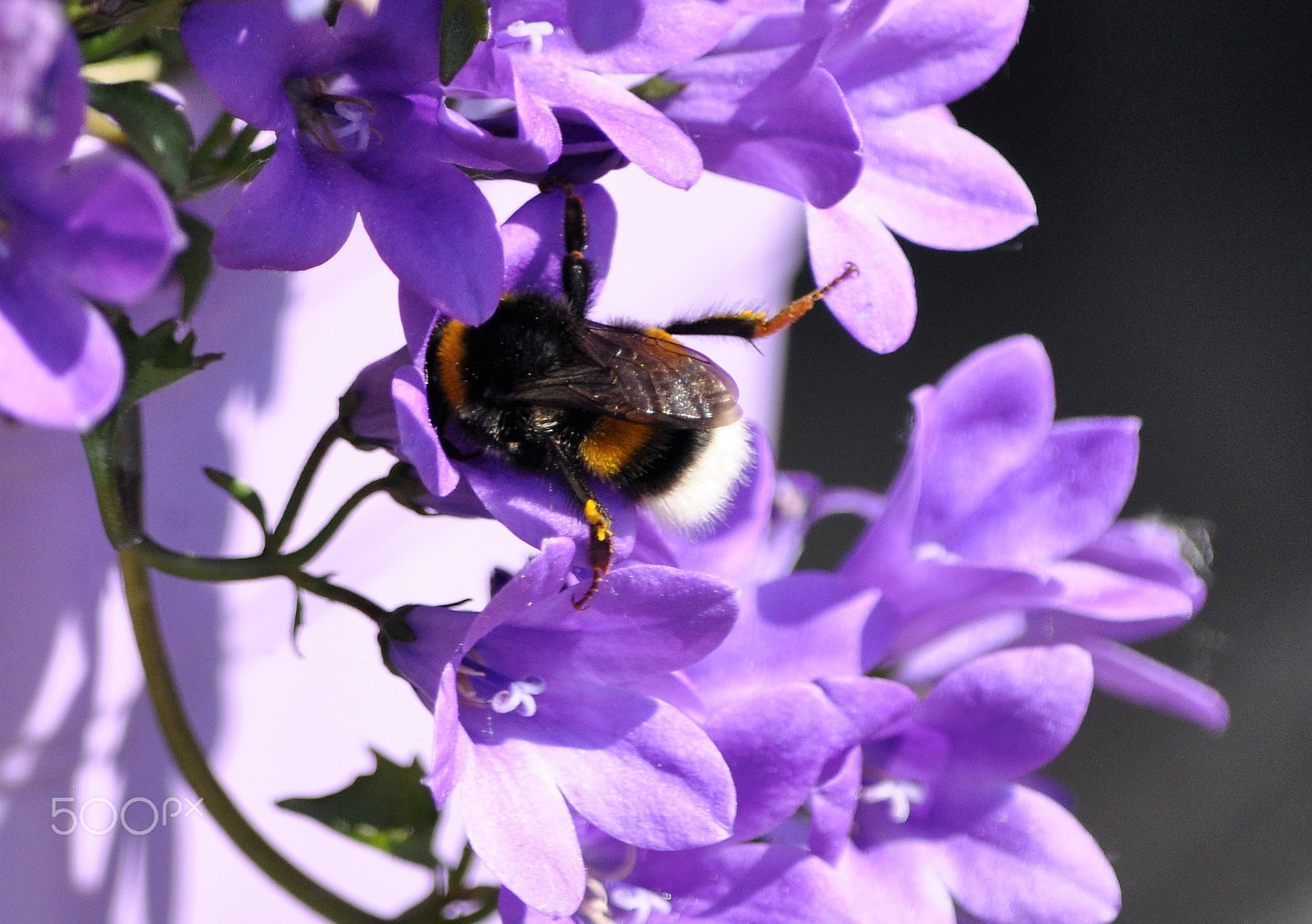 Nikon D90 sample photo. It just fits. photography