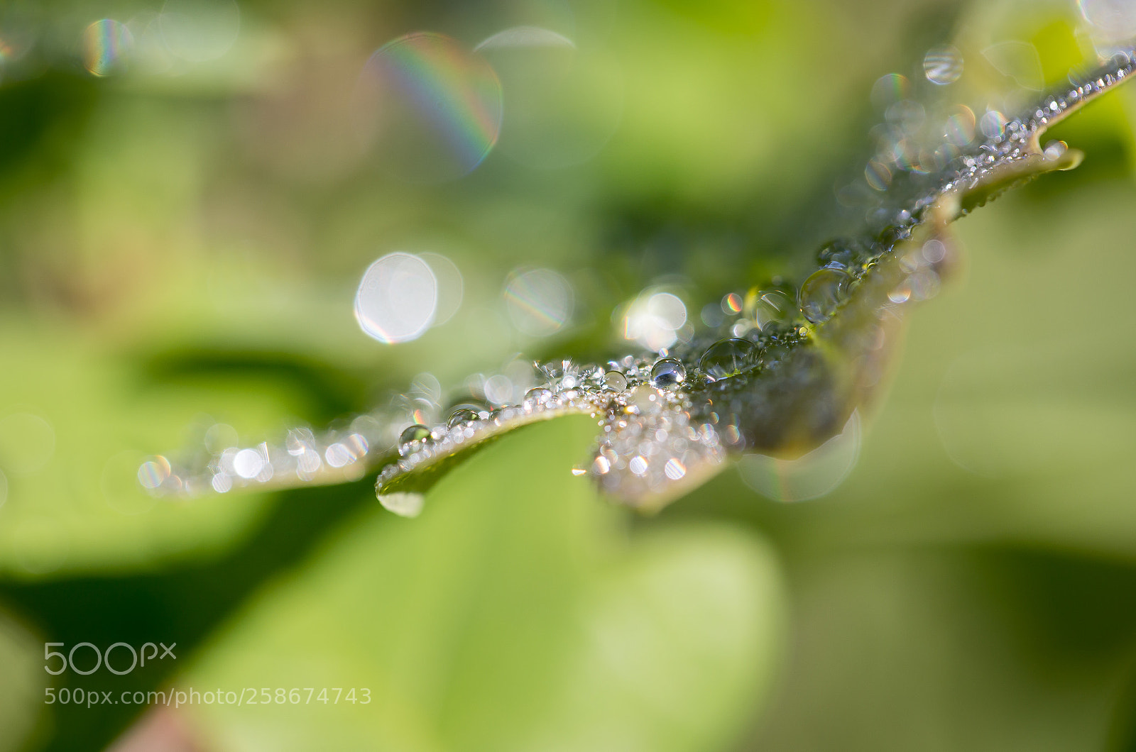 Canon EOS 6D sample photo. Abstract photography