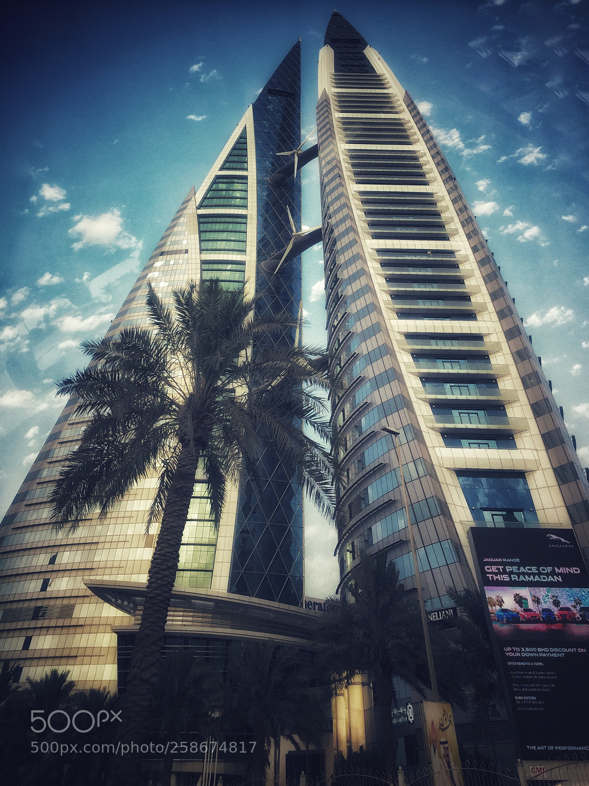 Apple iPhone 6 sample photo. Untitled photography