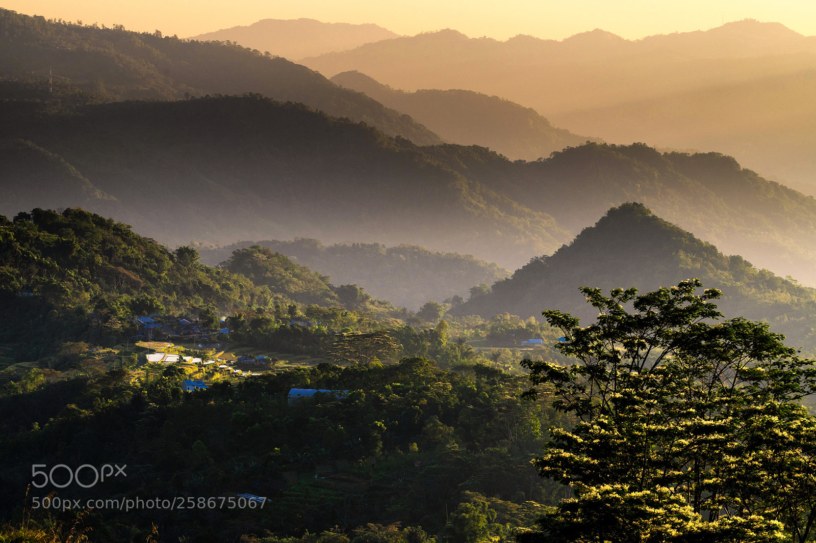 Sony a7 II sample photo. Layers photography