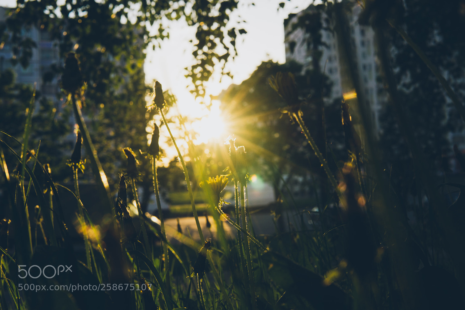 Sony a6000 sample photo. Last light photography