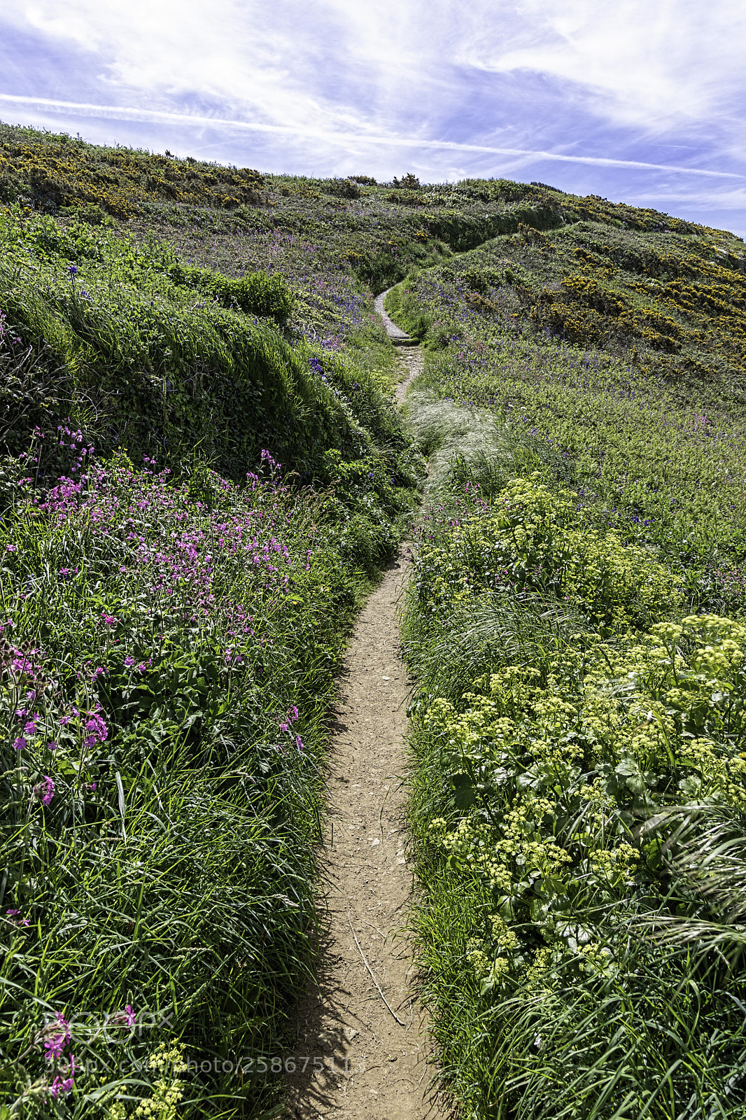Canon EOS 5D Mark IV sample photo. Guernsey coastal path photography