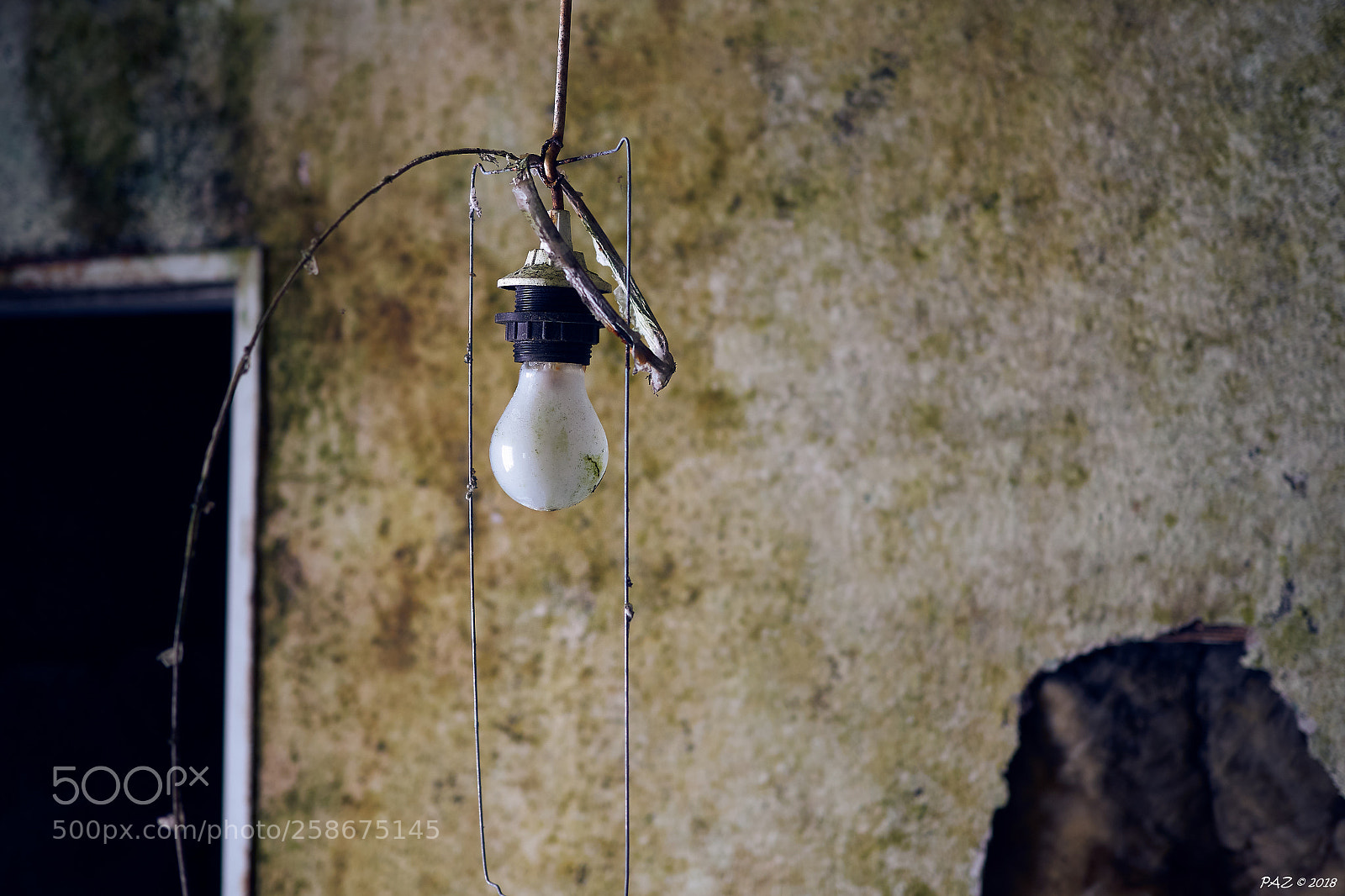 Olympus PEN-F sample photo. Solden photography