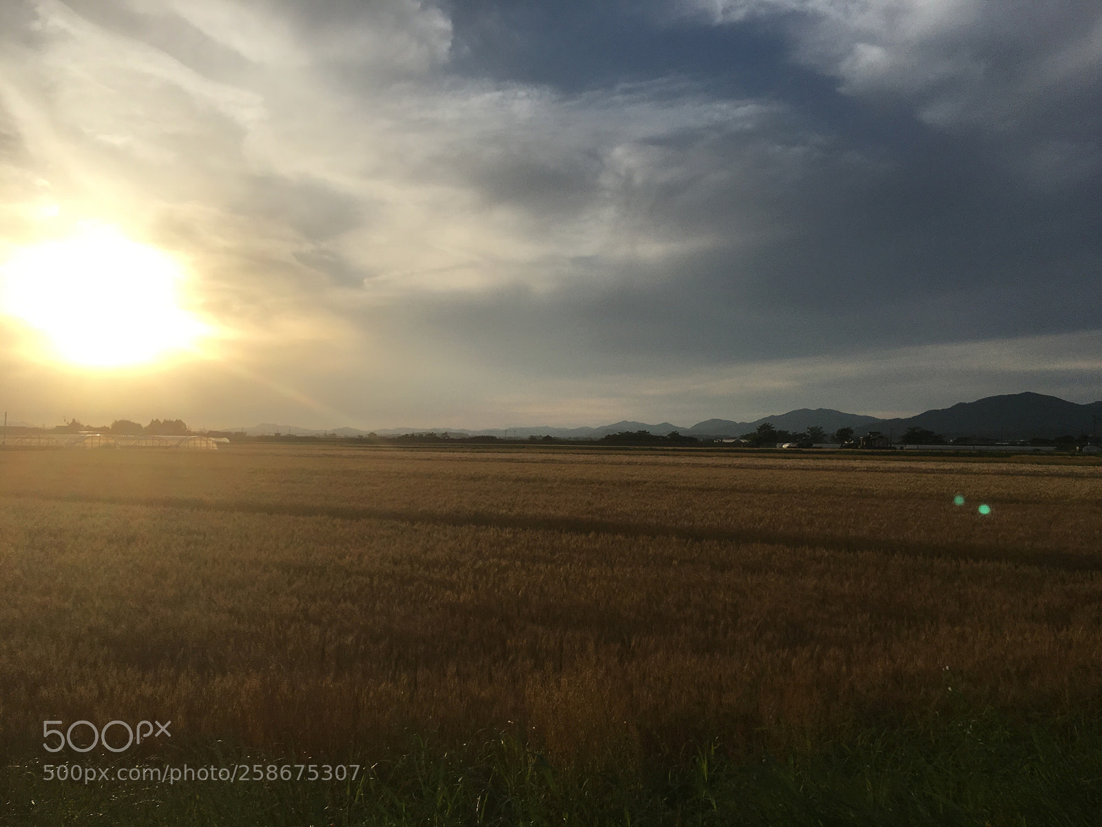 Apple iPhone 6s sample photo. Wild winds  photography