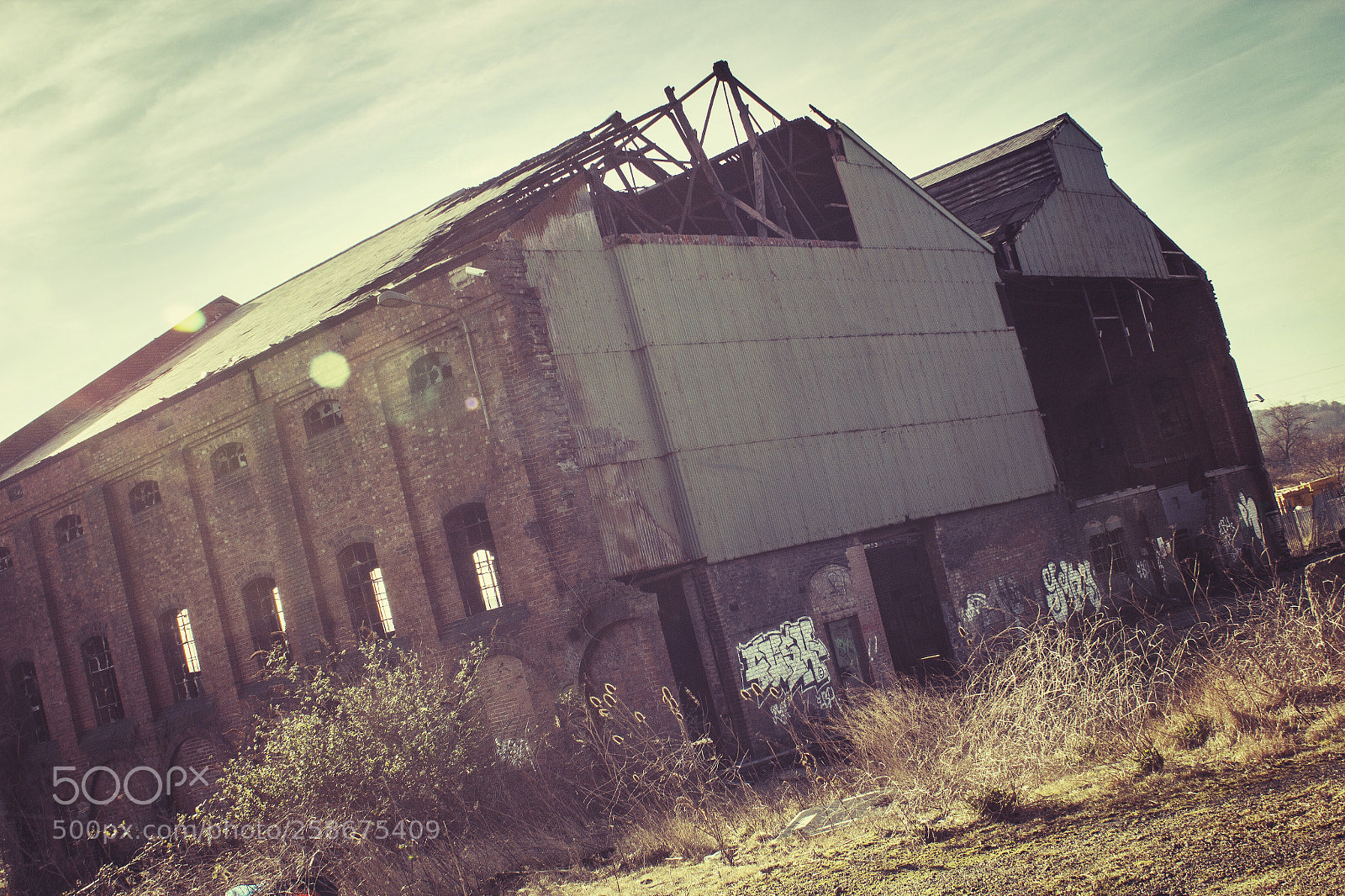 Canon EOS 550D (EOS Rebel T2i / EOS Kiss X4) sample photo. Derelict photography