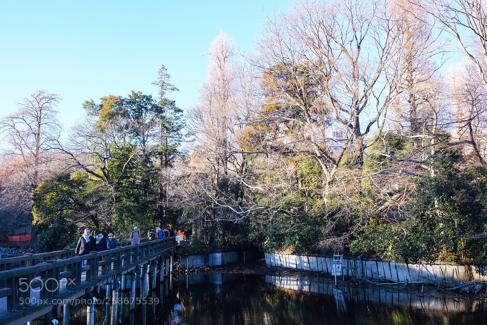 Fujifilm X70 sample photo. The park in winter photography