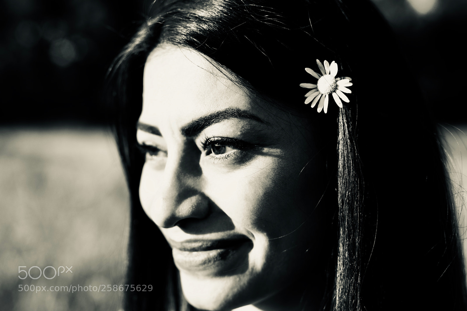 Canon EOS 5D Mark IV sample photo. Peri photography
