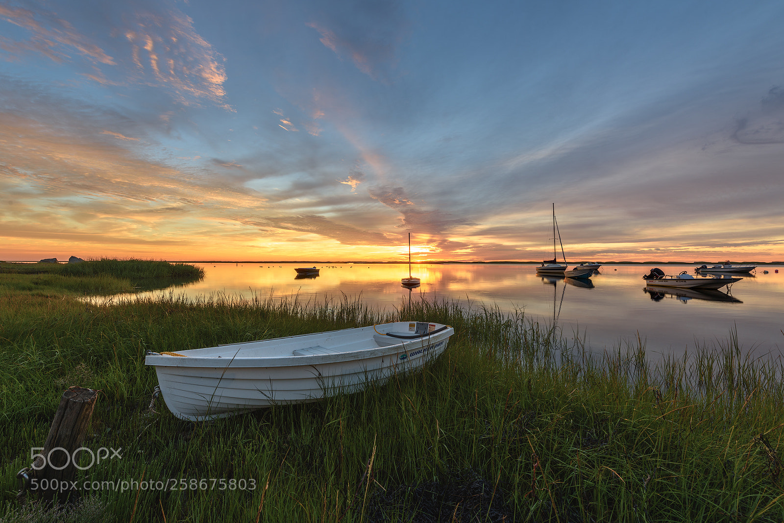 Nikon D810 sample photo. Sunrise at the harbor photography