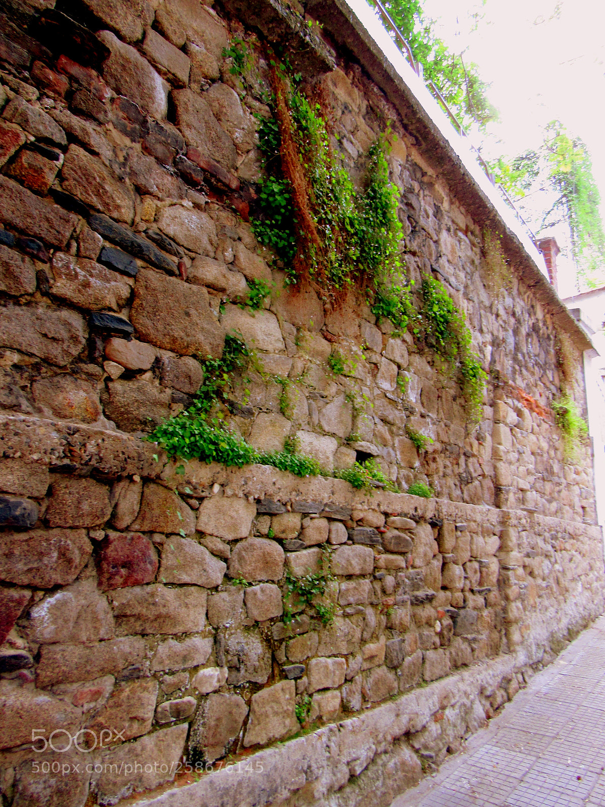 Canon PowerShot SX530 HS sample photo. Wall photography