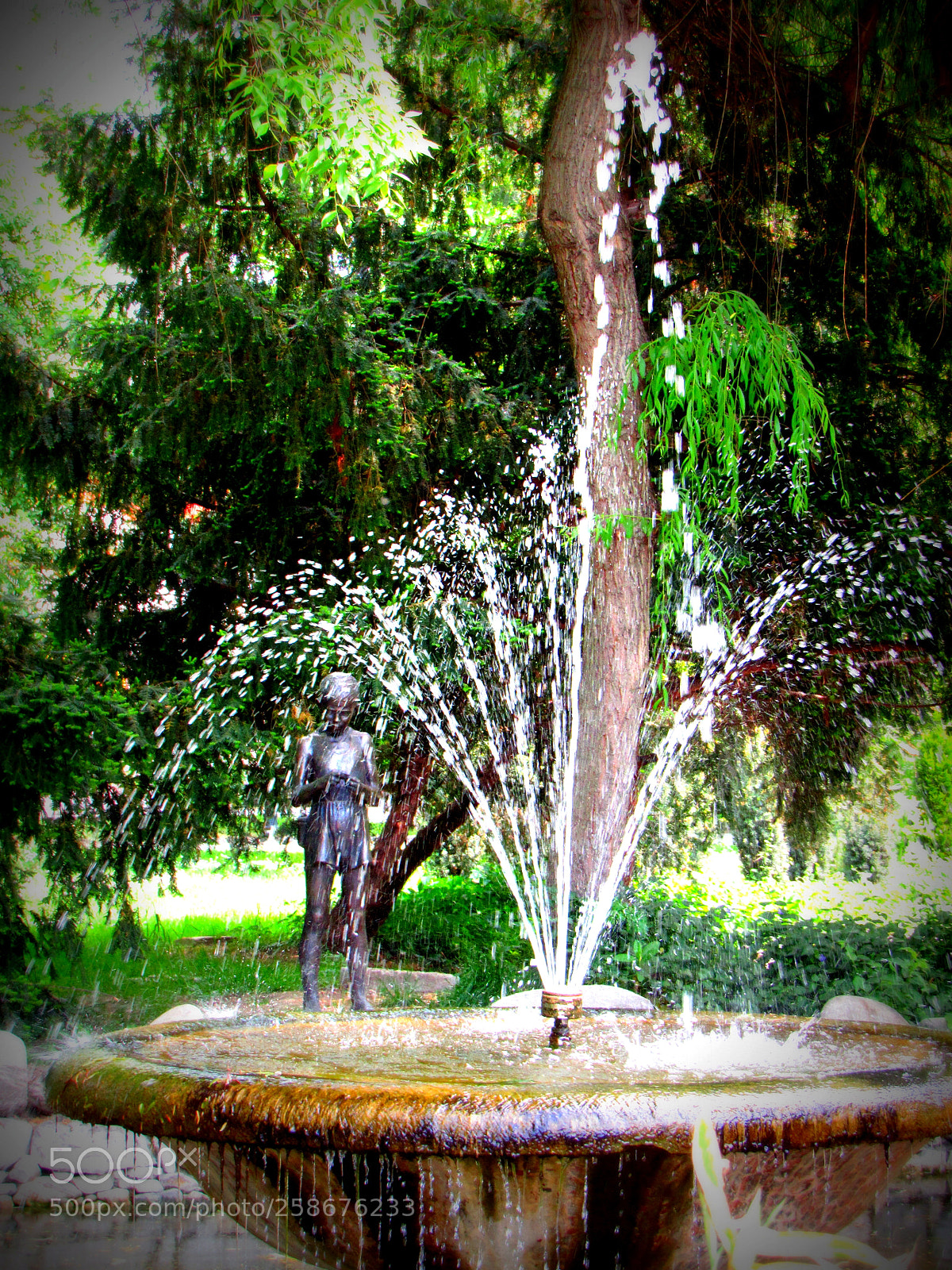 Canon PowerShot SX530 HS sample photo. Untitled photography