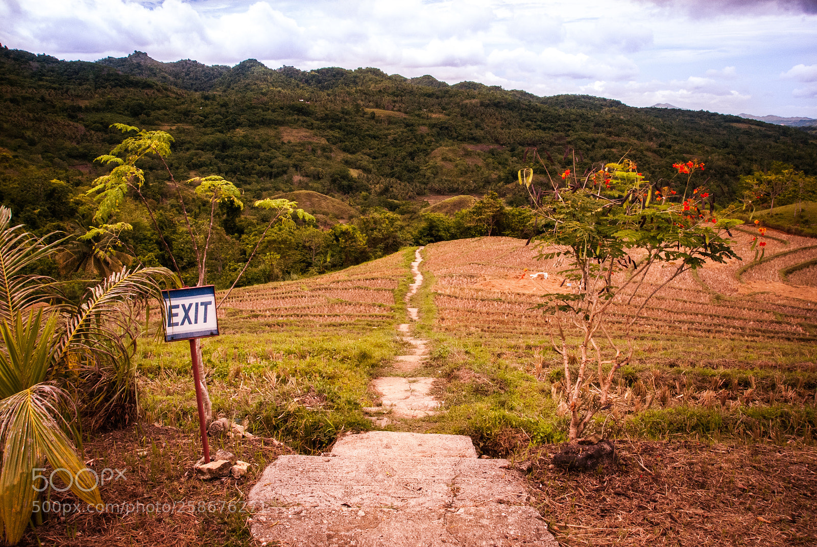 Nikon D60 sample photo. Unusual philippines photography