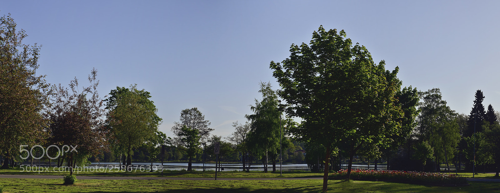 Nikon D5500 sample photo. Stadsparken photography