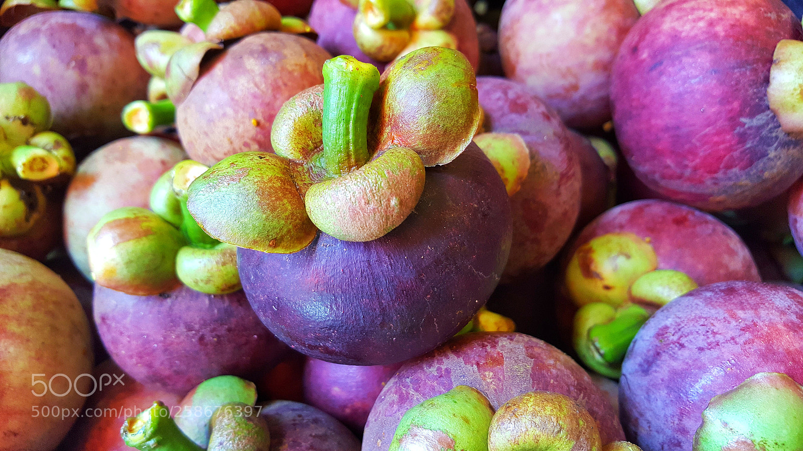 Samsung Galaxy Note5 sample photo. Organic mangosteen for health photography