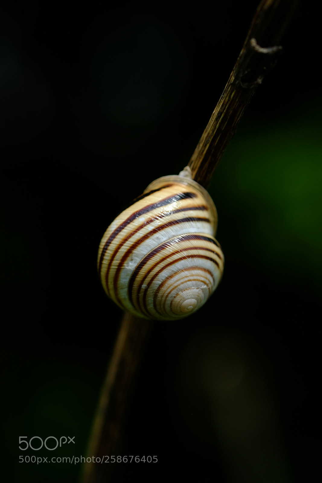 Fujifilm X-T10 sample photo. Swirl photography