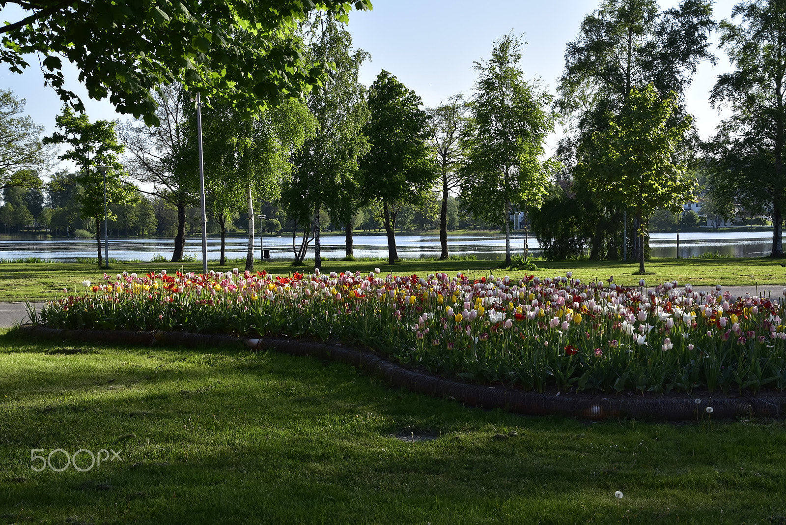 Nikon D5500 sample photo. Stadsparken_01 photography