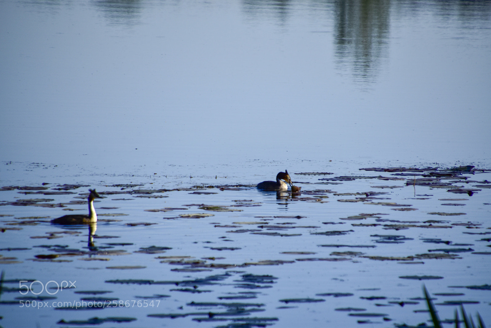 Nikon D5500 sample photo. Vatten photography
