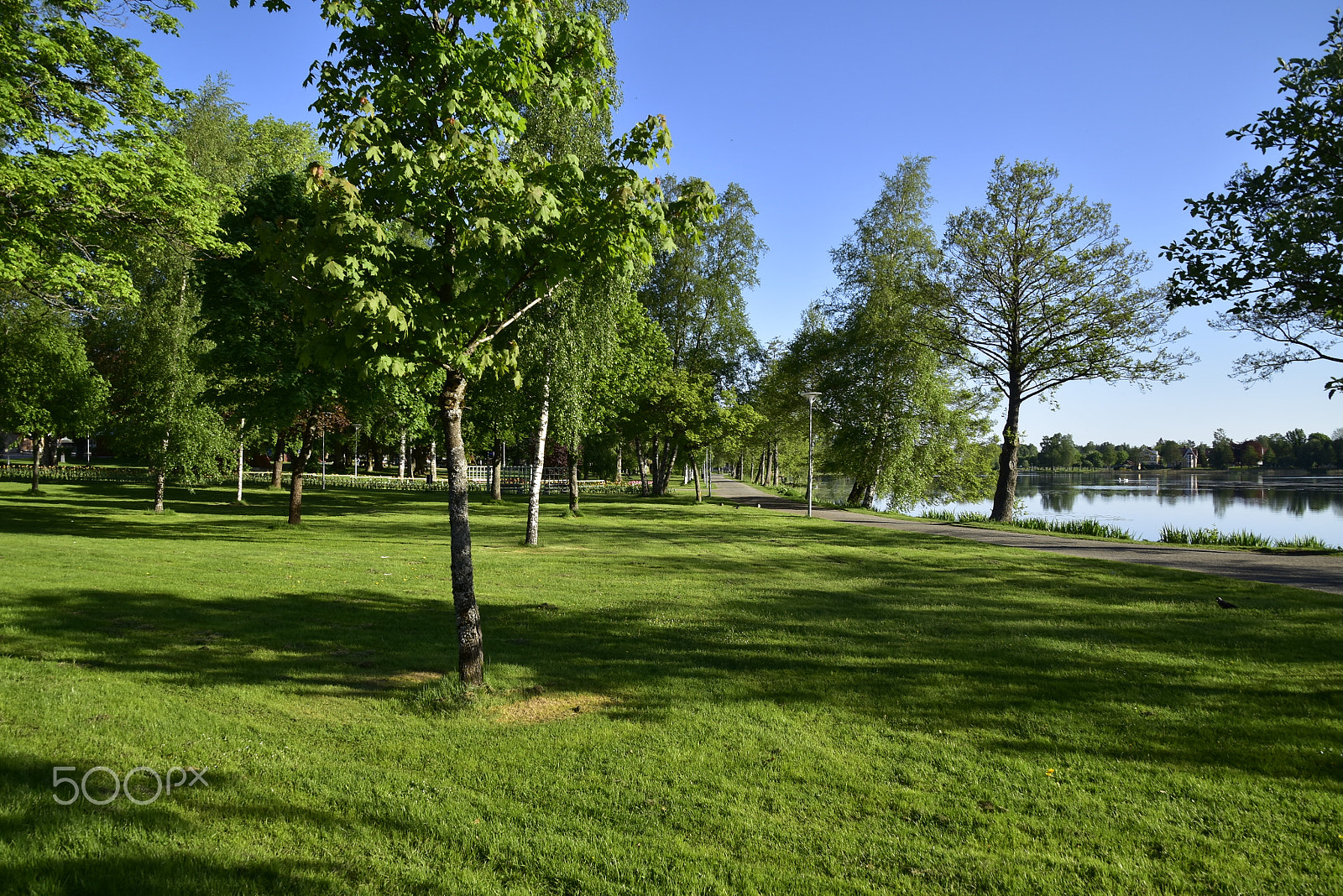 Nikon D5500 sample photo. Stadsparken_02 photography