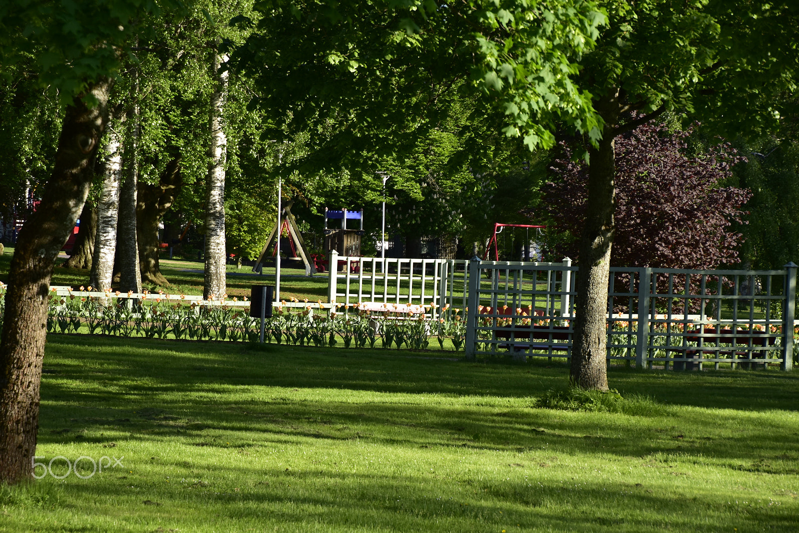 Nikon D5500 sample photo. Stadsparken_03 photography