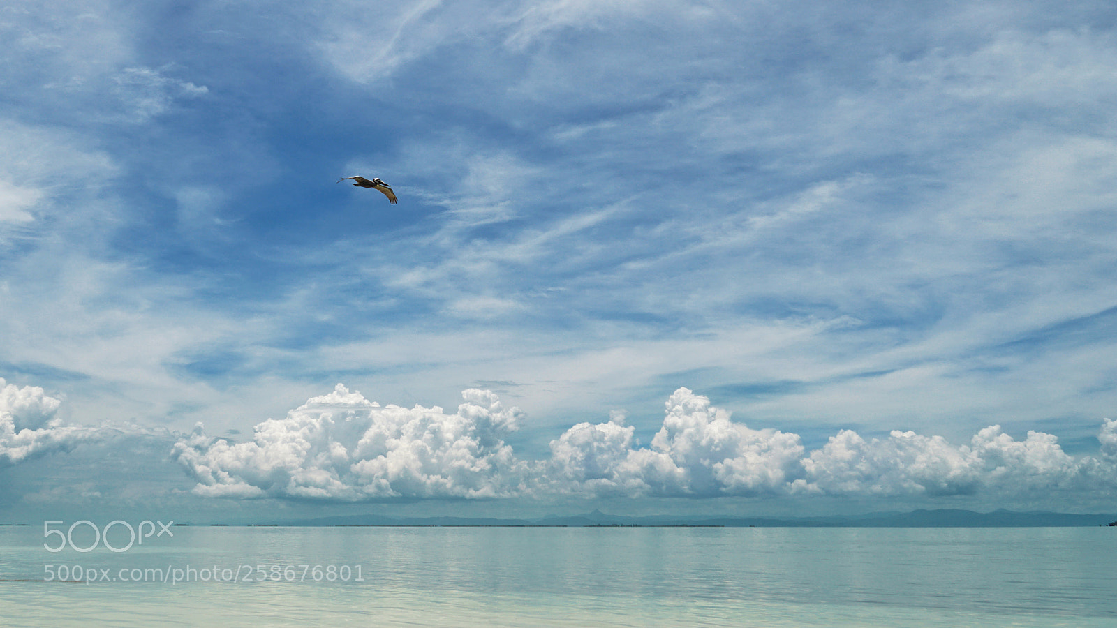 Sony a6000 sample photo. Turquoise hunter photography