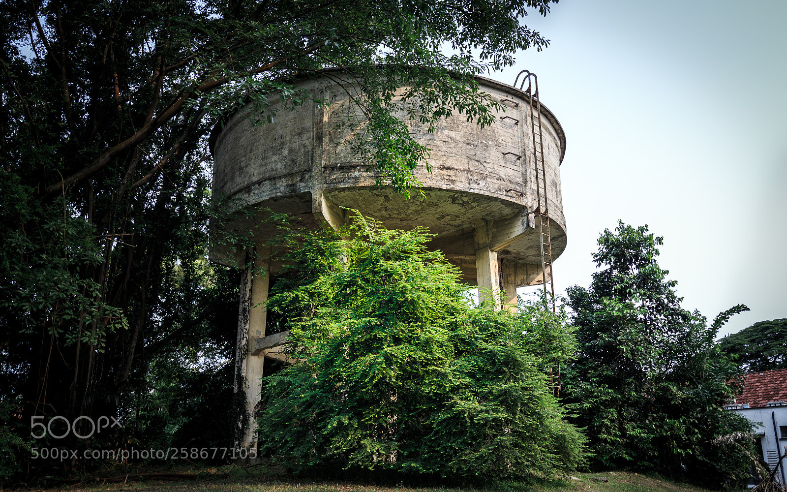 Canon EOS 700D (EOS Rebel T5i / EOS Kiss X7i) sample photo. Abandoned water tank photography