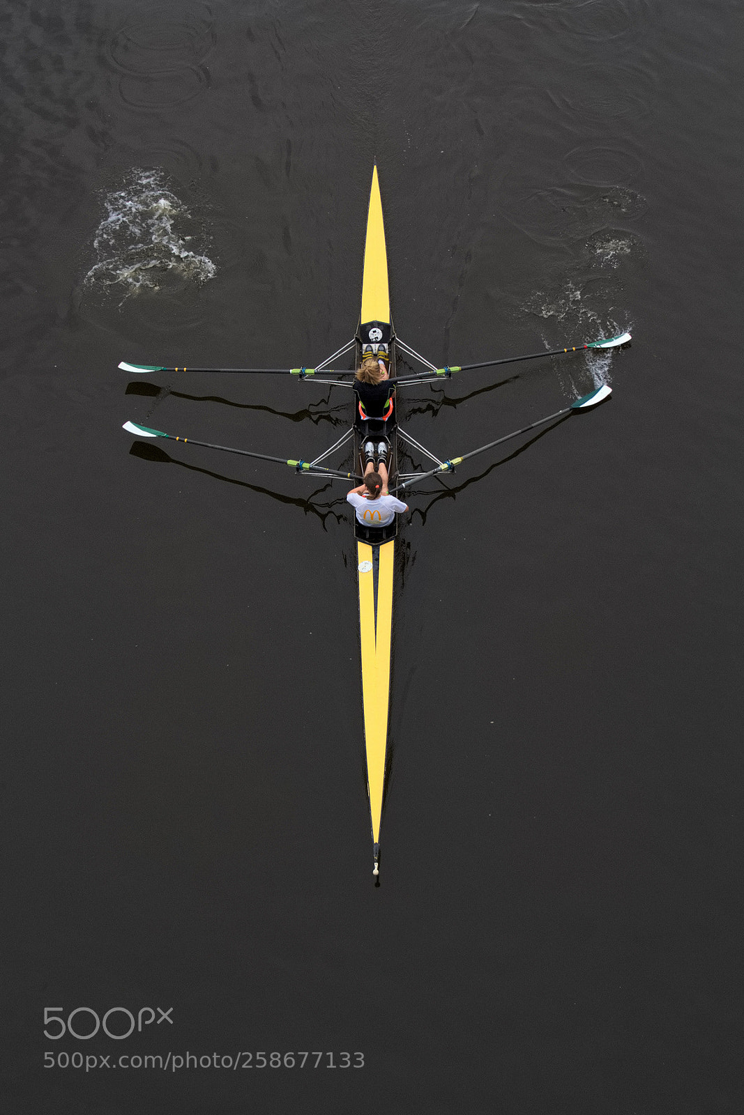 Canon EOS 60D sample photo. Rowing photography