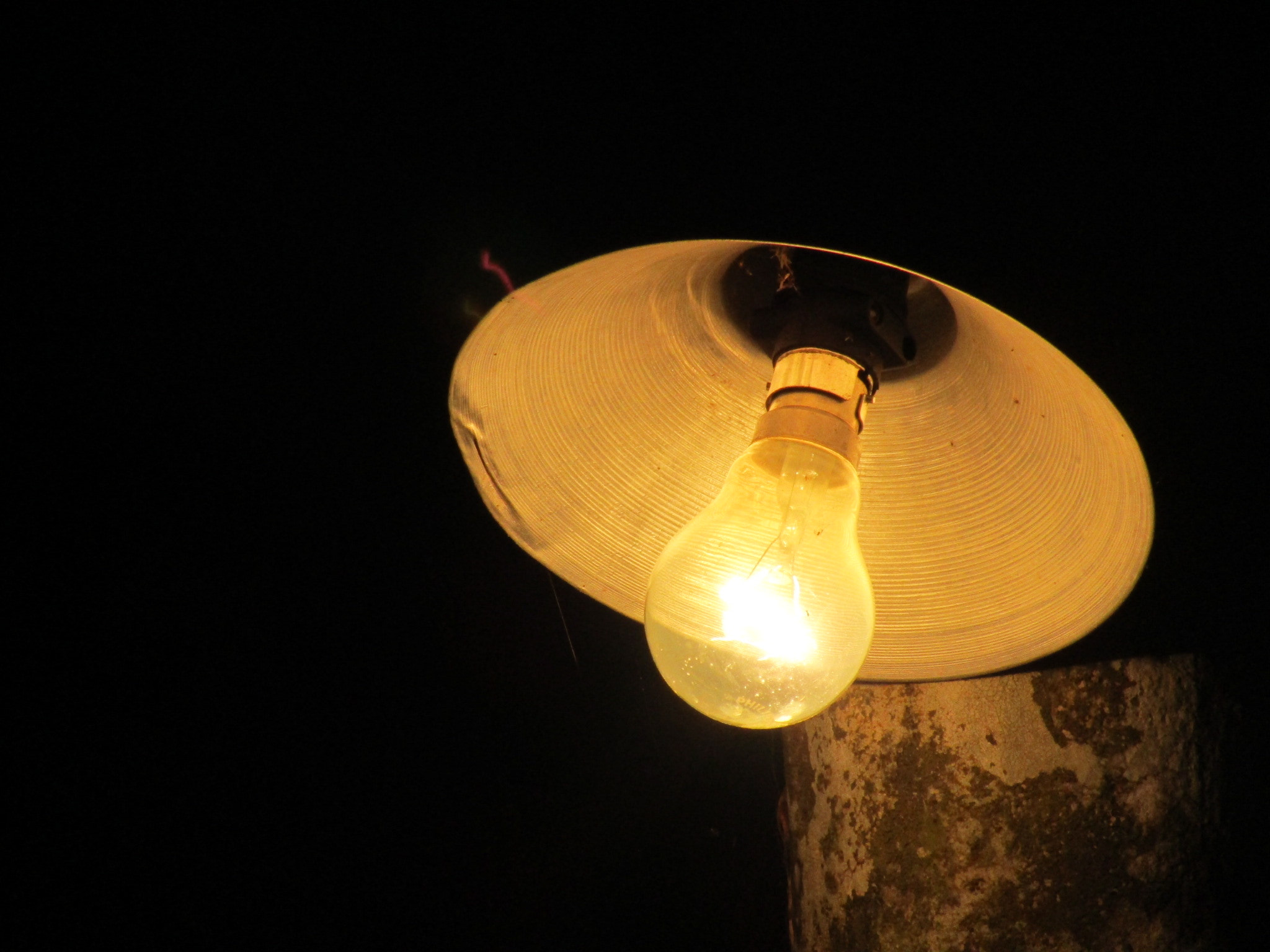 Canon POWERSHOT SX430 IS sample photo