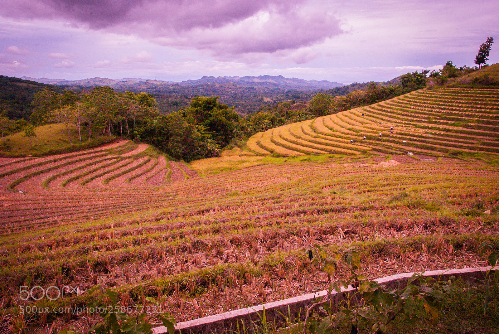 Nikon D60 sample photo. Unusual philippines photography