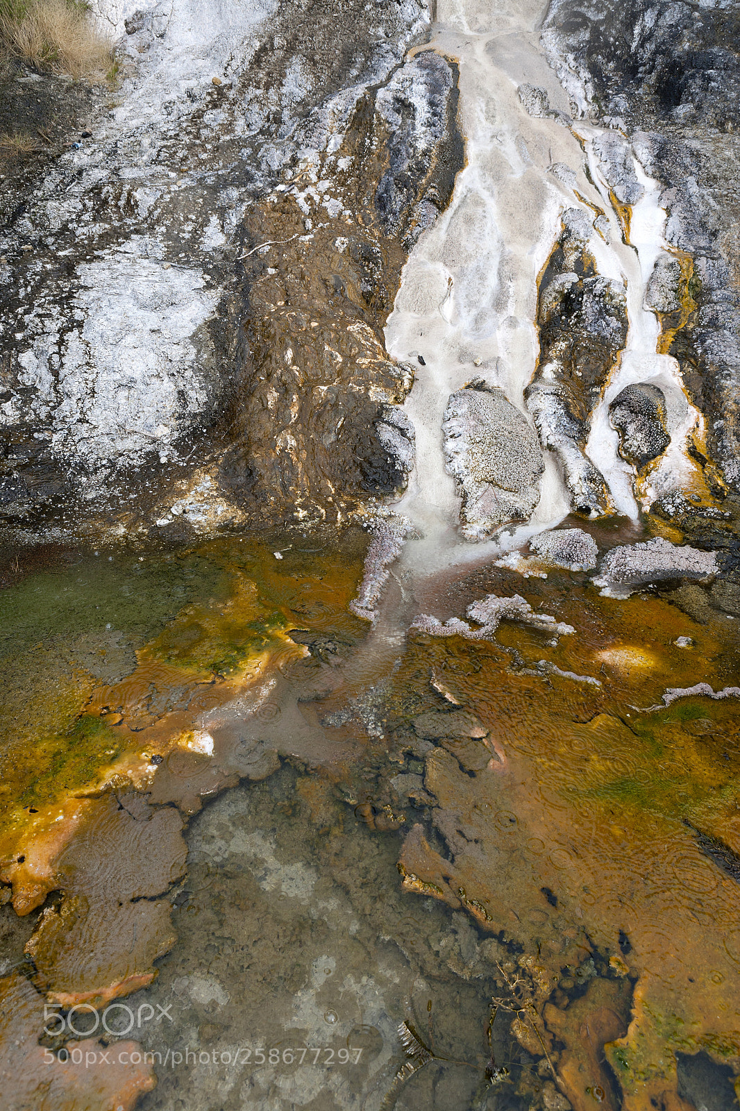 Canon EOS-1Ds Mark II sample photo. New zealand, orakei korako photography