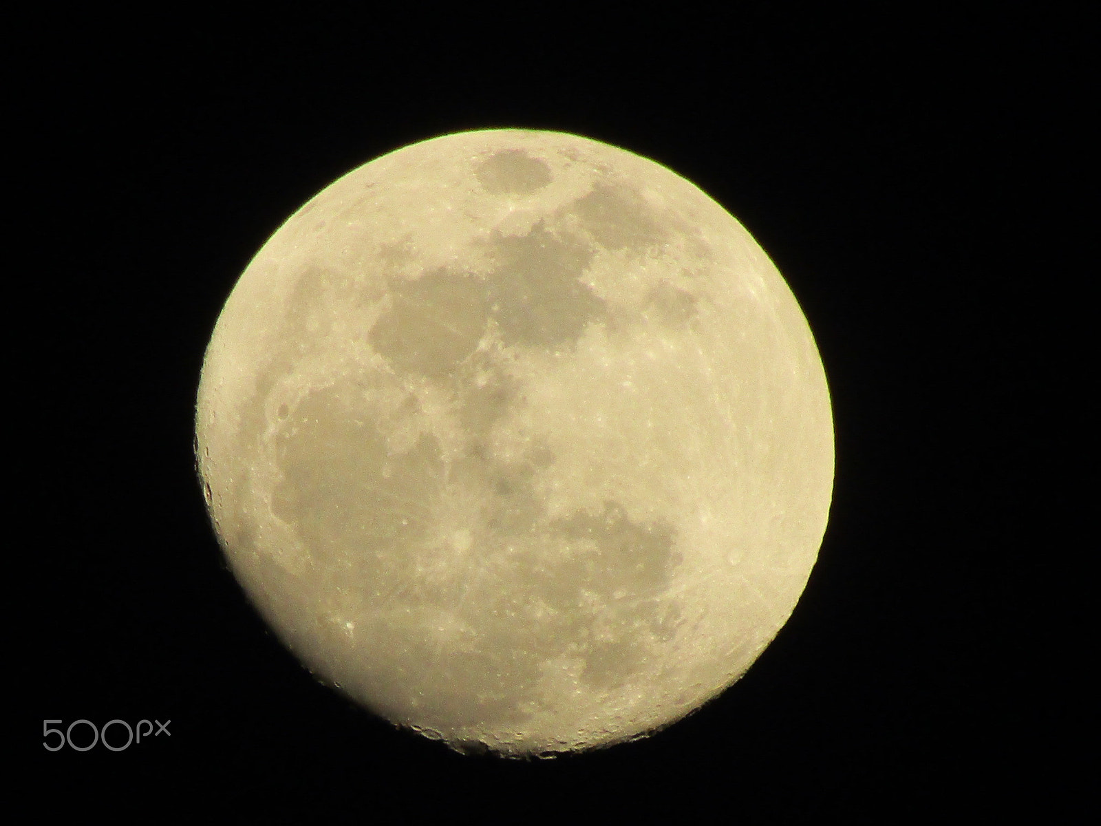 Canon POWERSHOT SX430 IS sample photo