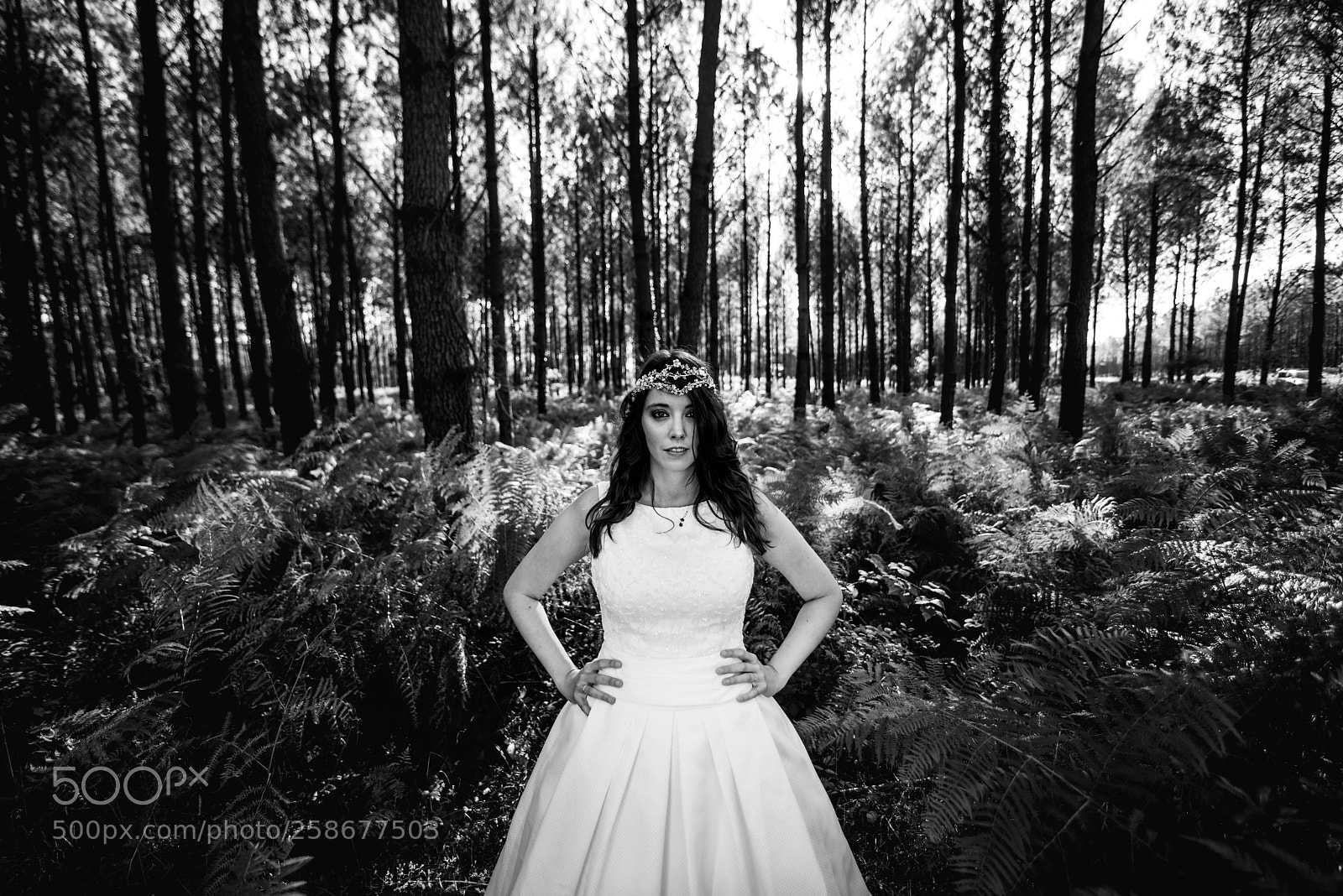 Nikon D800 sample photo. Power bride photography