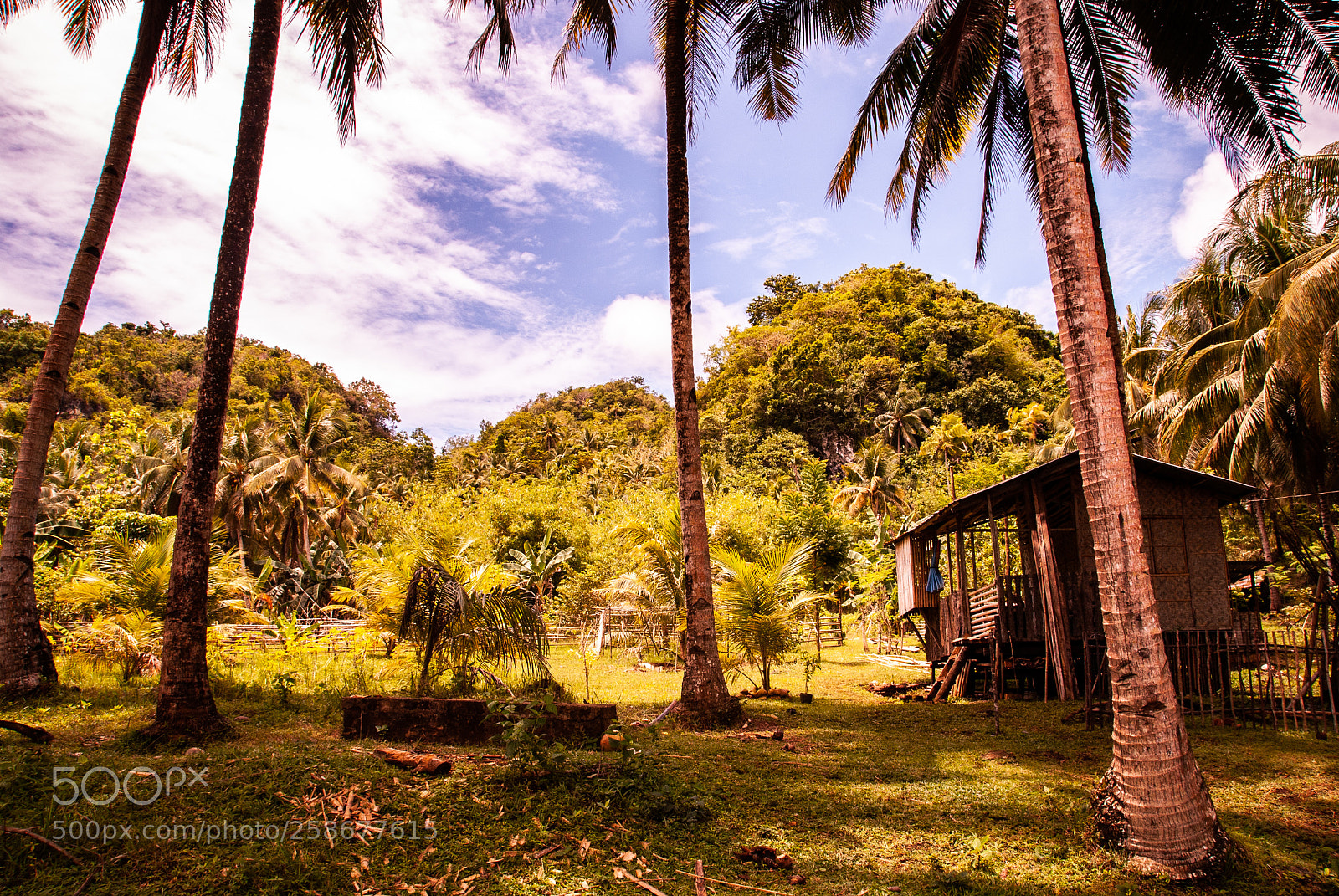 Nikon D60 sample photo. Unusual philippines photography