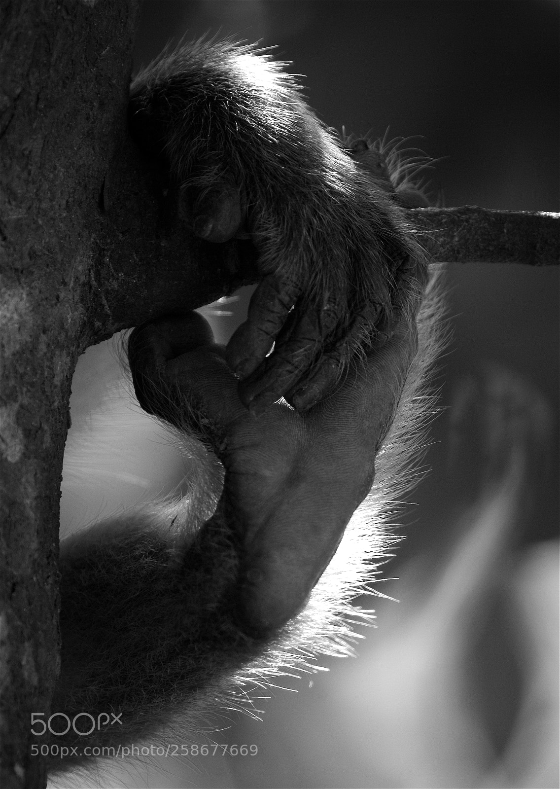 Canon EOS 7D sample photo. The last hold photography